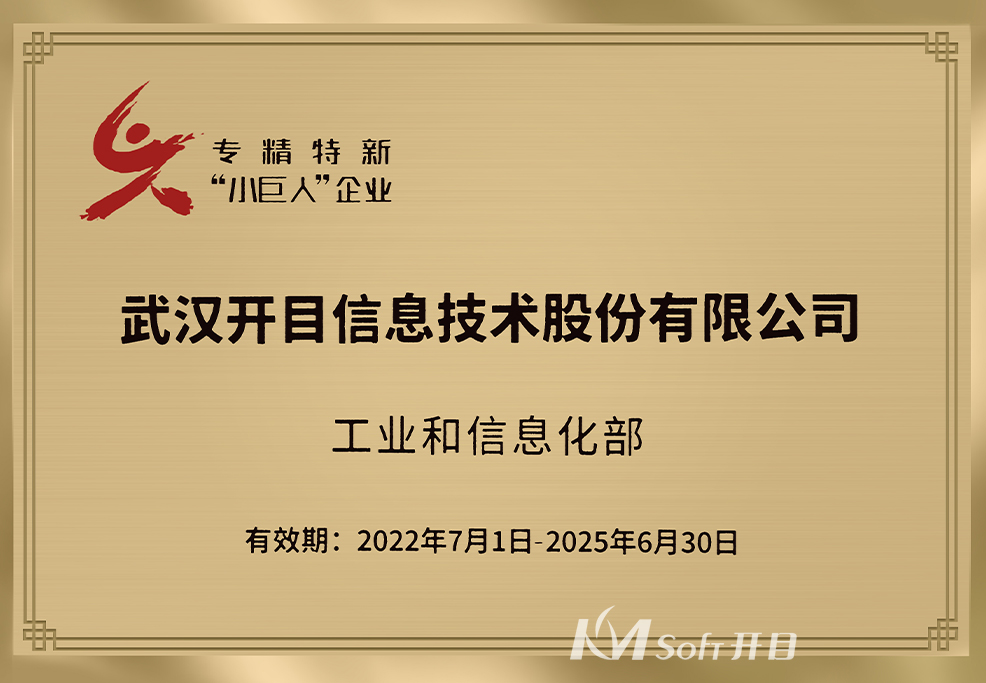 國(guó)家級(jí)專精特新“小巨人”企業(yè)